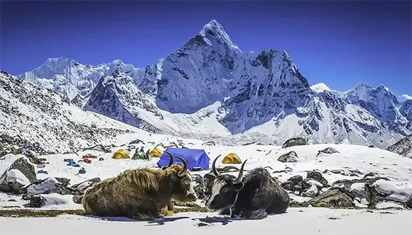 Himalayan Mountain Nepal